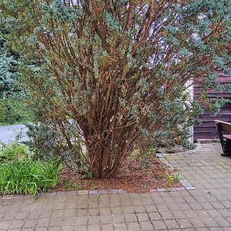 Amazing Apartment In Bad Schandau-Kleing, Kleingiesshubel Экстерьер фото
